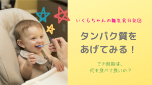 生後6ヶ月。既に離乳食を食べてくれない! いくらちゃんの離乳食日記②