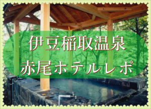 【子連れ伊豆旅行】稲取温泉赤尾ホテル宿泊の口コミ体験談