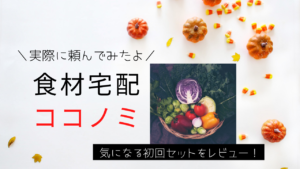【野菜が美味しい】と評判の【ココノミ】を実際に試してみた。ポイントも使えてお得!