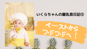 いくらちゃんの離乳食日記⑤つぶつぶの練習を始めてみるよ!
