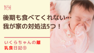 いくらちゃんの離乳食日記⑨後期も全然食べない。我が家の対処法はコレ!